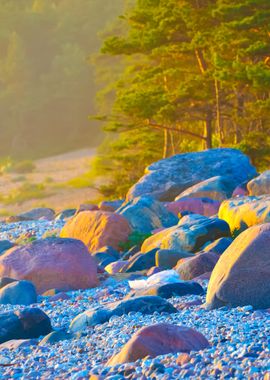 Baltic Sea Shore Hiumaa Is