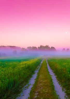 Dirt Road In The Field Wit