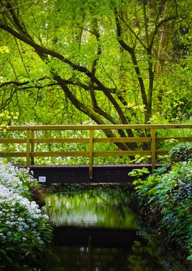 Bridge Over The River And