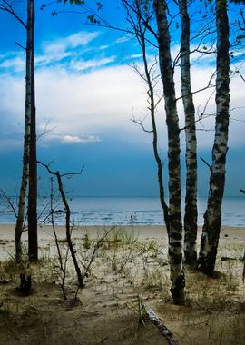 Baltic Sea Shore In Dramat