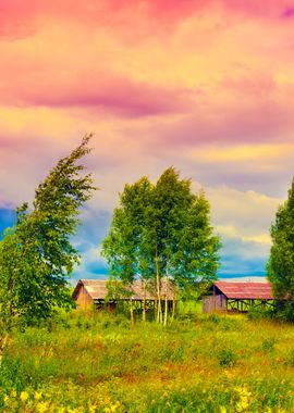 Countryside Landscape