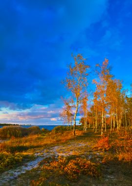 Autumn Landscape