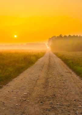 Sandy Rural Road In Landsc