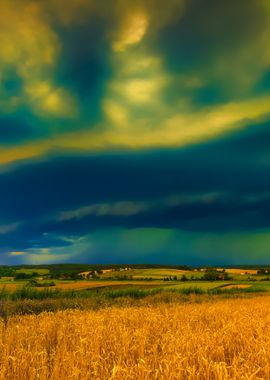 Storm Clouds Over Wheat Fi