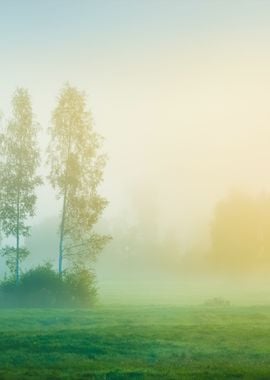 Strong Morning Fog Above T