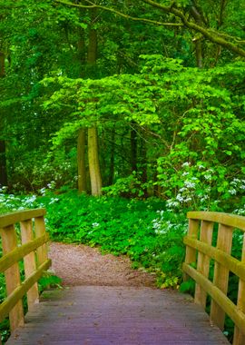 Walkway In Stochemhoeve Fo