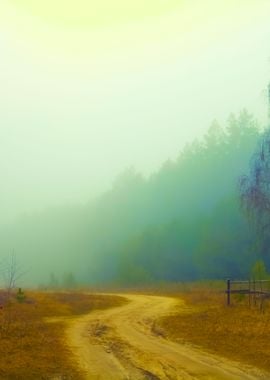 Rural Road In A Misty Morn