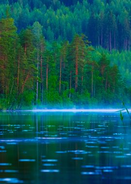 Saimaa Lake In Finland