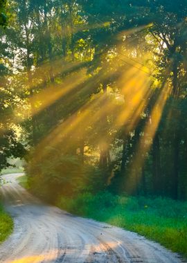 Road And Sunbeams In Stron