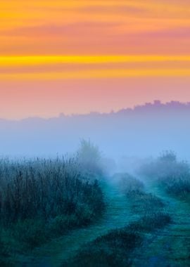 Colorful Sunrise At The Fi