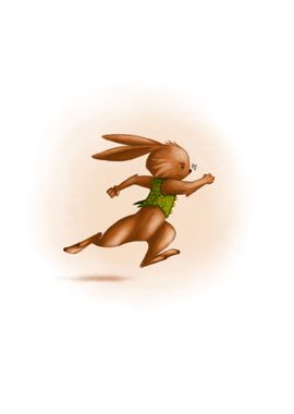 rabbit run