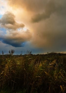 Dark Dramatic Rain Clouds