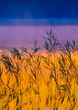 Saimaa Lake In Finland