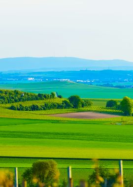 Fields In The Coutryside G