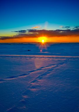 Colorful Sunset At The Sno