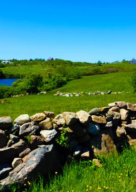 Block Island Countryside