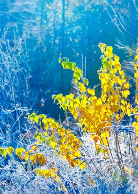 Landscape With The Frozen 