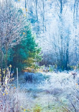 Landscape With The Frozen 