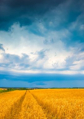 Stormy Sky Over Field