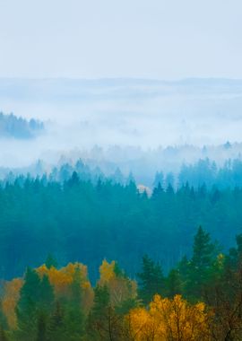 Gauja River Valley In Autu