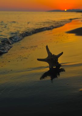 Summer Beach Sunset With S