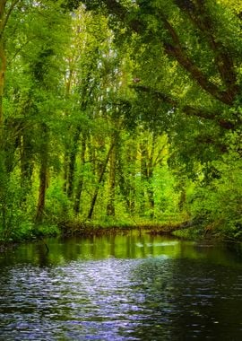 Forest River In Stochemhoe