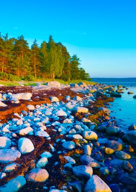 Rocks At The Coast Of Kasm