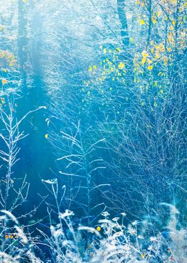 Landscape With The Frozen 