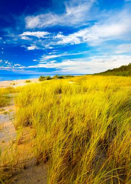 Baltic Beach At The Sunset