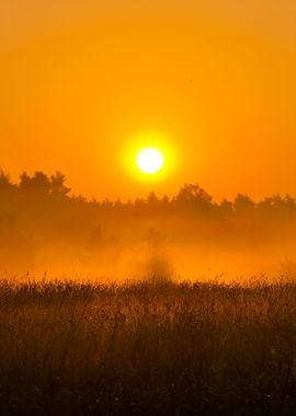 Sun And Morning Fog Above