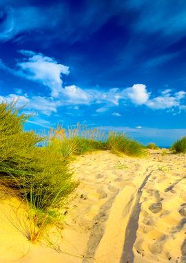 Baltic Sea Shore Sandy Bea