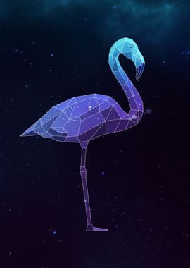 Galaxy Flamingo