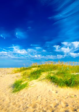 Baltic Sea Shore Sandy Bea