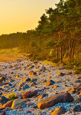 Baltic Sea Shore Hiumaa Is