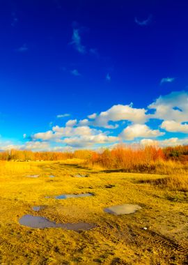 Autumn Landscape Against B