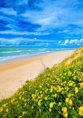 Baltic Sea Shore In Jurkal