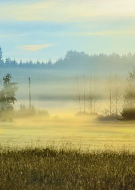 Rural Field Covered With M