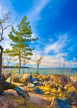 Rocks At The Coast Of Kasm