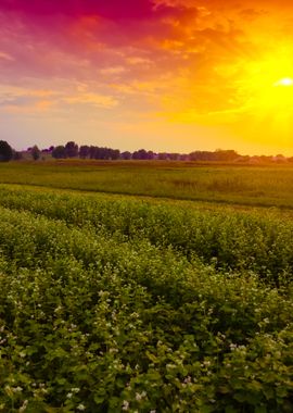 Sunset Over Countryside Wi