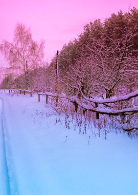 Rural Winter Snowy Landsca