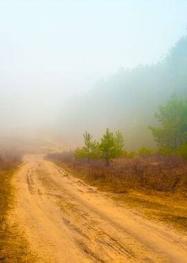 Rural Road In A Misty Morn