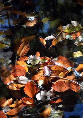 plitvice lakes croatia