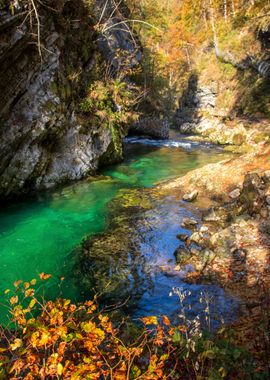 vintgar klamm slovenia