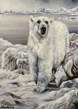 Polar Bear