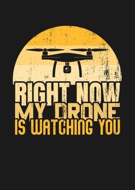 DRONE PILOT