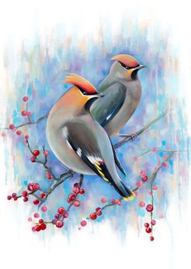 Bohemian waxwing Bird