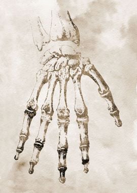 Hand Bones 