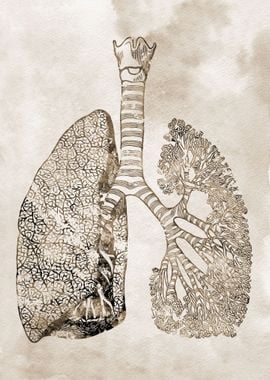 Lungs Art 