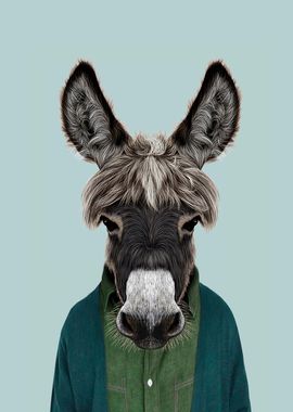 donkey portrait 