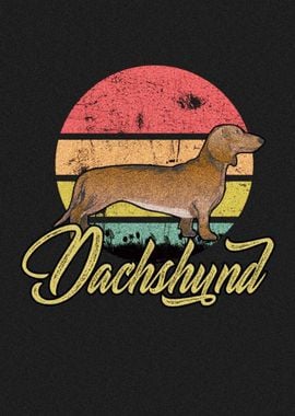 Dachshund